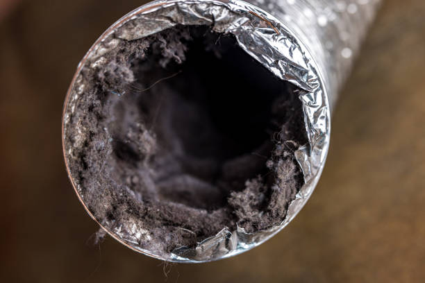 Best Air Duct Sanitizing Services  in Spinnerstown, PA